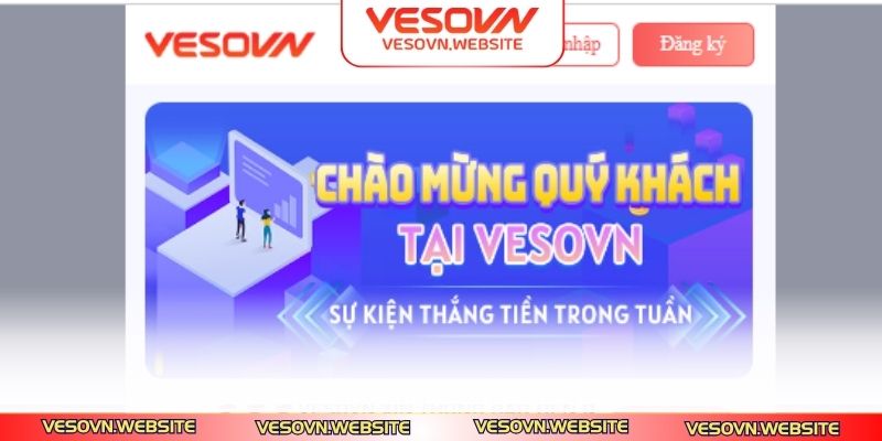 Mục tiêu định hướng xây dựng nên thương hiệu VESOVN